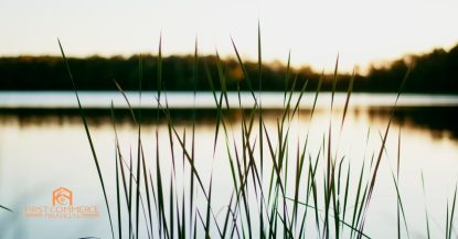 Sunset over a calm Michigan lake with tall reeds in the foreground — First Commerce Financial, Michigan second home and vacation property mortgage broker
